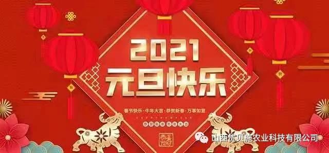 2021Ԫ옷(l)^m(x)^